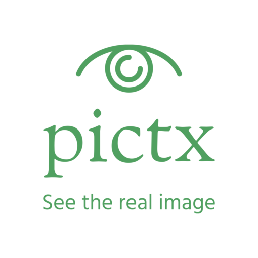 pictx.com brandable domain and business name